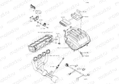 Fuel Injection