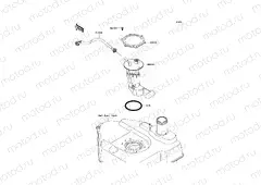 Fuel Pump