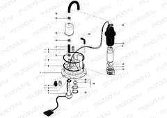 Fuel Pump Assembly