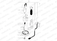Fuel Pump Assembly