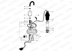 Fuel Pump Assembly