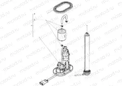 Fuel Pump Assembly