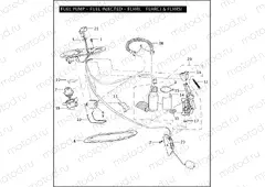 FUEL PUMP - FUEL INJECTED - FLHRI, FLHRCI & FLHRSI