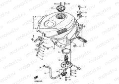 FUEL TANK
