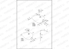 FUEL TANK - 883L/N/R, 1200C/CA/CB/CP/V/X
