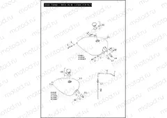 FUEL TANK - 883L/N/R, 1200C/CP/N/V/X