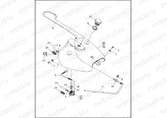 FUEL TANK, CARBURETED - FLHR