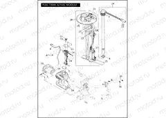 FUEL TANK & FUEL MODULE