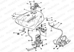 FUEL TANK » TANK/SEAT