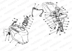 FUEL TANK » TANK/SEAT