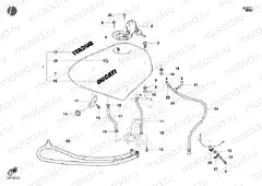 FUEL TANK » TANK/SEAT
