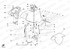 FUEL TANK » TANK/SEAT