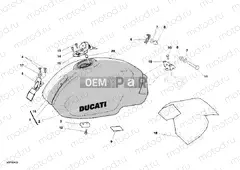 FUEL TANK » TANK/SEAT
