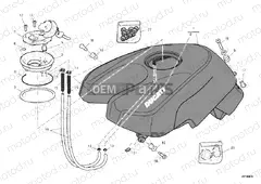 FUEL TANK » TANK/SEAT