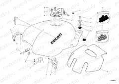 FUEL TANK » TANK/SEAT