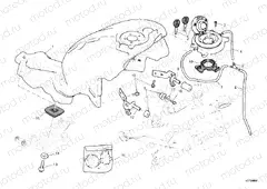 FUEL TANK » TANK/SEAT