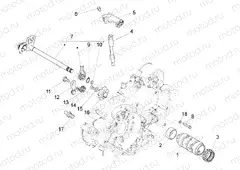 Gear box / Selector / Shift cam