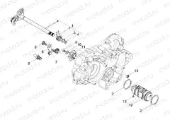 Gear box / Selector / Shift cam