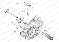Gear box / Selector / Shift cam