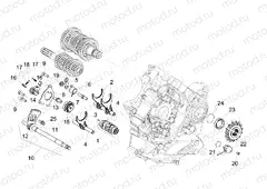 Gear box / Selector / Shift cam