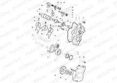Gear Selector Assembly