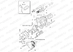 Gear Selector Assembly