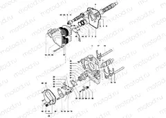 Gear Selector Assembly