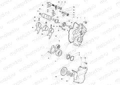 Gear Selector Assembly