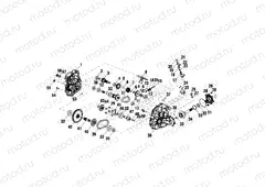 GEARCASE - A00BG50AA (4954855485C013) | GEARCASE - A00BG50AA (4954855485C013)
