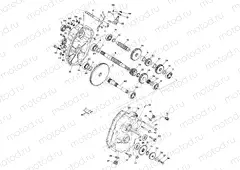 GEARCASE ASSEMBLY 250 4x4 / W928127 (4922872287C009) | GEARCASE ASSEMBLY 250 4x4 / W928127 (4922872287C009)