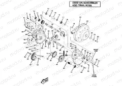 Gearcase Assembly (4910981098038A) | Gearcase Assembly (4910981098038A)