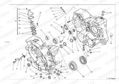 HALF-CRANKCASES PAIR [MOD:SCR800FH]