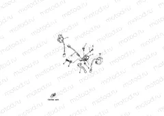 HANDLE SWITCH & LEVER