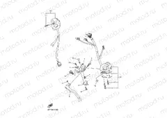 HANDLE SWITCH & LEVER