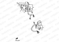 HANDLE SWITCH & LEVER