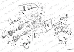 HORIZONTAL HEAD – TIMING SYSTEM