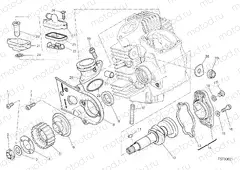 HORIZONTAL HEAD – TIMING SYSTEM