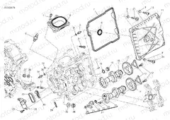 HORIZONTAL HEAD – TIMING SYSTEM