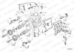 HORIZONTAL HEAD – TIMING SYSTEM [MOD:XDIAVEL]