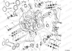 HORIZONTAL HEAD » UNCLASSIFIED