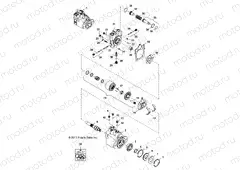 HYDRAULICS | HYDRAULICS, MOTOR - R151DPD1AA/2D (49BRUTUSMOTORHYD13)