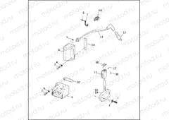 IGNITION MODULE & COIL