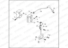 IGNITION MODULE & COIL