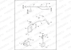 IGNITION MODULE & COIL