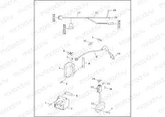 IGNITION MODULE & COIL