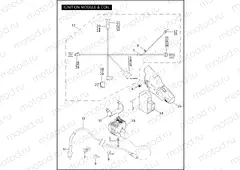 IGNITION MODULE & COIL