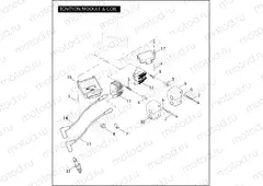 IGNITION MODULE & COIL
