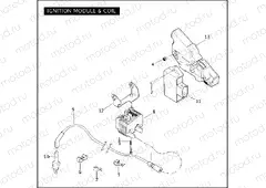 IGNITION MODULE & COIL