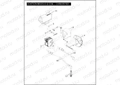 IGNITION MODULE & COIL - CARBURETED
