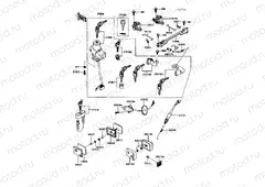 Ignition Switch